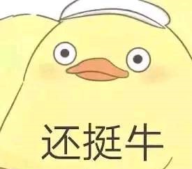 這位喵星人幫主人申請到10萬美元的研究基金 是招財貓本喵沒錯了