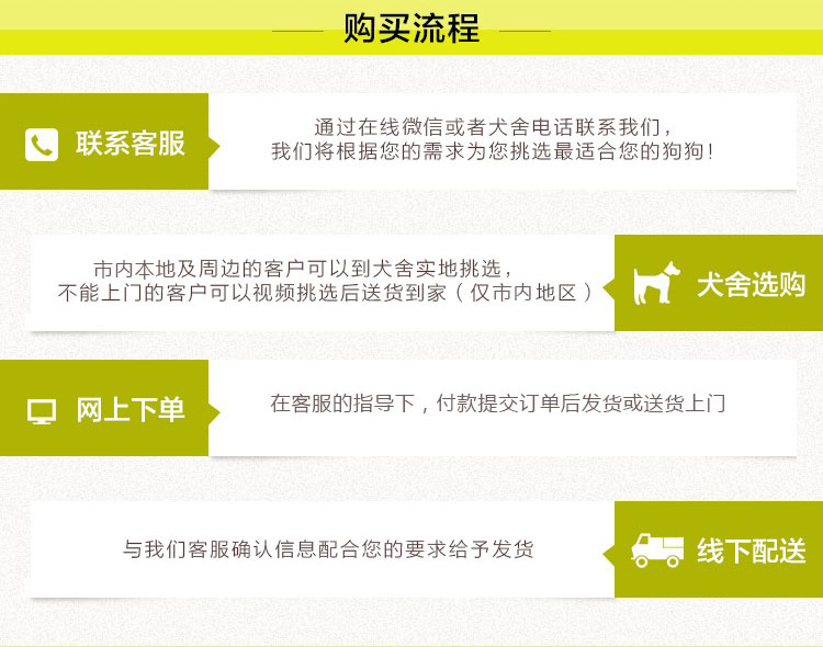中華田園犬200元 顏色全 價格低 包成活 支持全國發貨