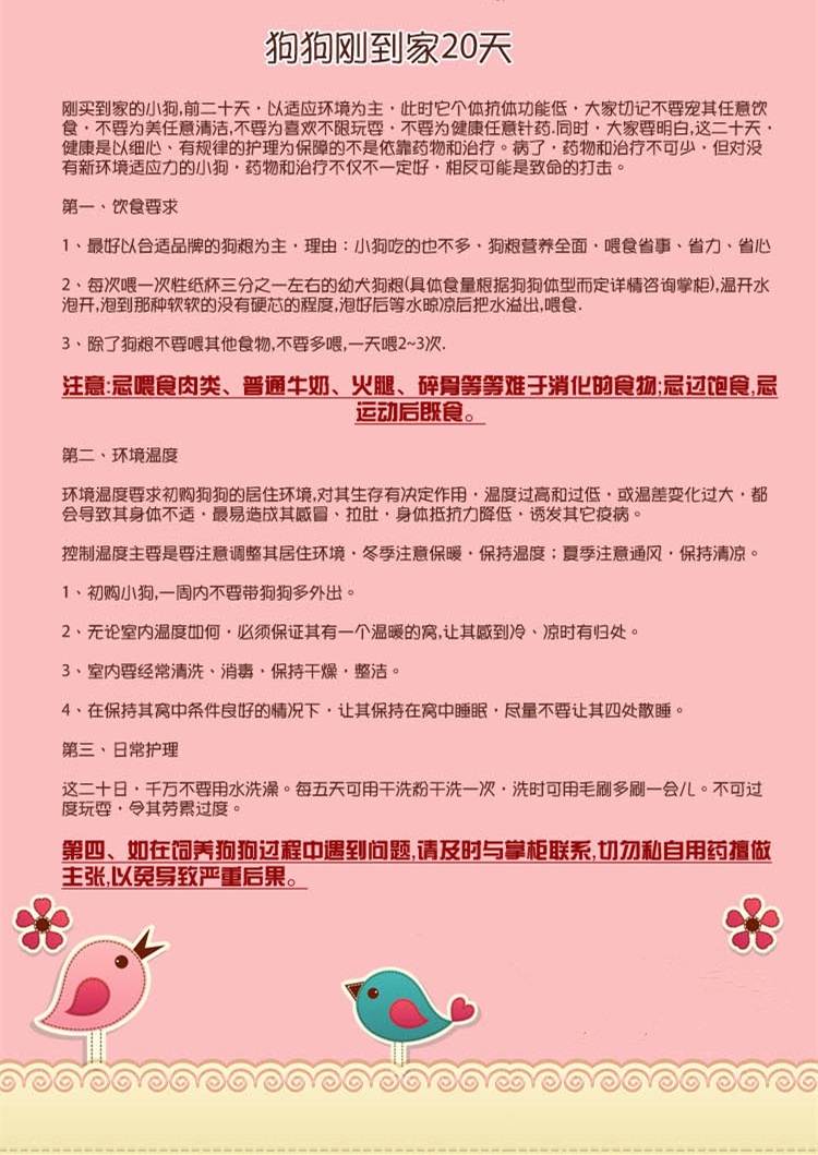 純種西高地白梗多少錢一只？價格實惠、購犬送馴養手冊包教包會~西高地白梗價格|西高地白梗圖片|西高地白梗視頻