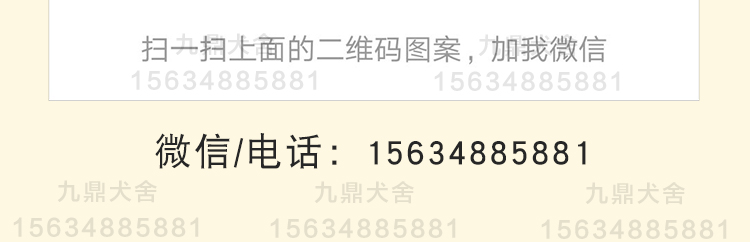 細犬試養三月付款 送狗糧 狗狗四件套 支持視頻選狗