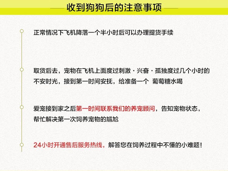 急售 東德牧羊犬30條 DDR血統全國發貨 貨到付款 頂