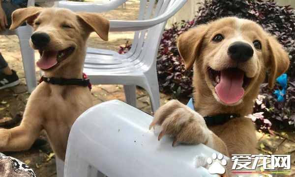 是黑色那位格格不入 還是最左邊那位愛搶鋒頭啊!