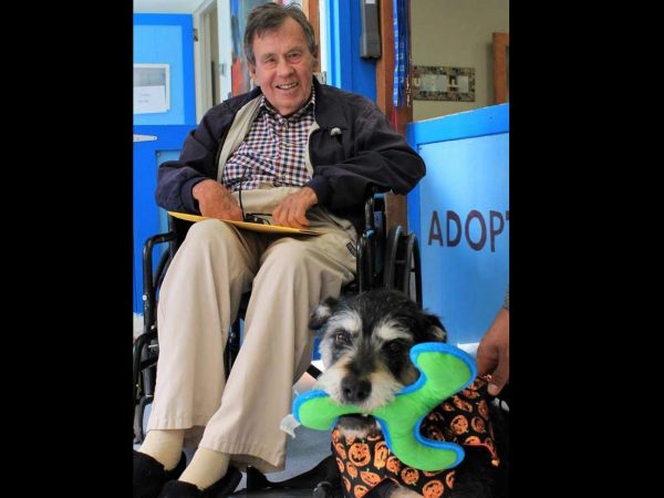 在停止呼吸前為愛犬找到新家 漸凍人無憾離開人世