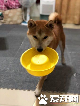 柴謹守和馬麻的秘密約定 暖心守護罕病女孩2年