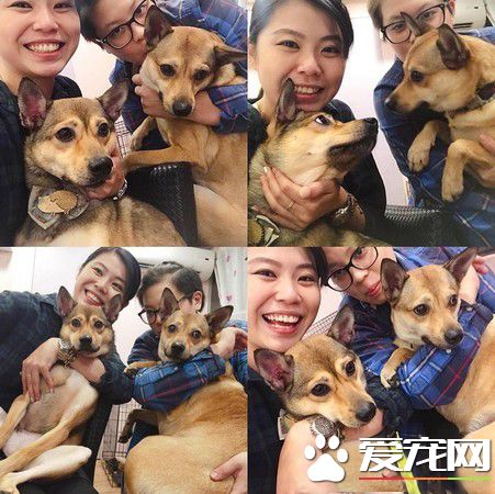 只是長的像還是真兄弟？緣分真奇妙
