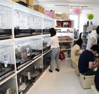 小區寵物店犬叫擾民 居民要求相關部門將該寵物店進行取締