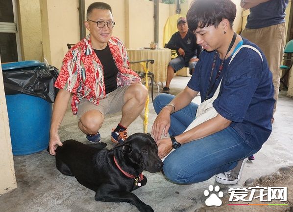 撿到走失犬 比狗主人還急每天看望