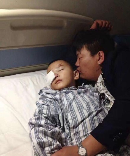 6歲男童被狗咬身亡獲賠78萬 卻遭被告人不服上訴