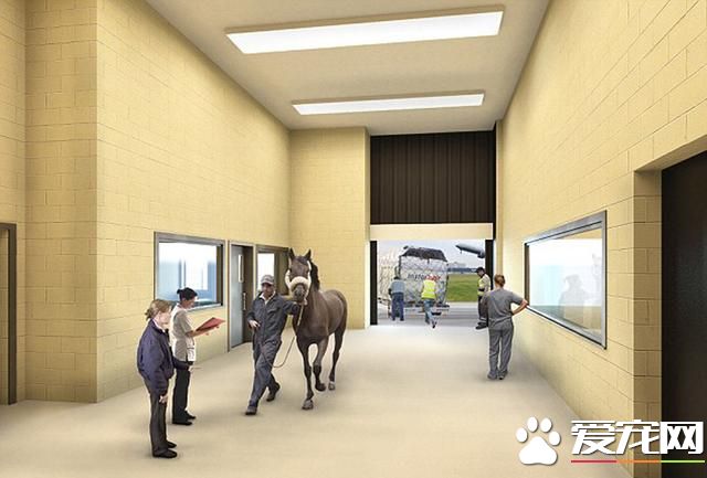 美機場將開動物航站樓 豪華寵物套房可按摩水療(組圖)- 新聞