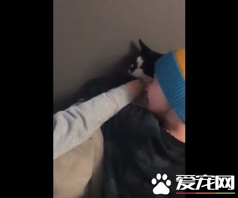 最棒的新年禮物！失而復得被通知已死亡的愛貓