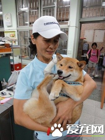 校犬誤校慶入舞獅表演 一場即興表演逗笑同學們