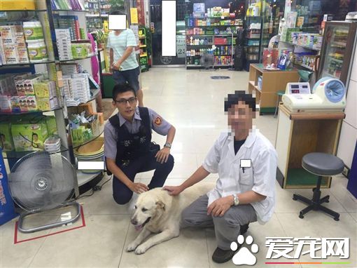 傻傻分不清 米克斯誤認主人跳錯機車