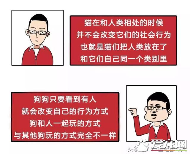 狗是否知道自己是狗？