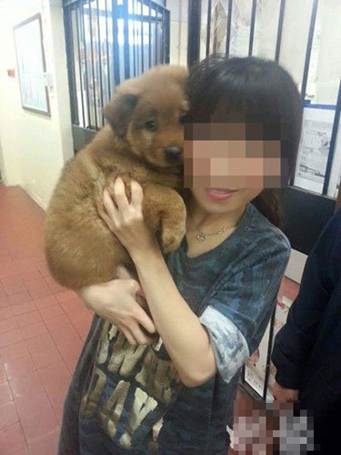香港新界區一間法院的羈留室變成寵物樂園 疑有警員知法犯法