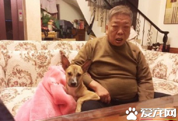 阿公為和狗孫女共睡沙發 崩壞睡姿沒有極限