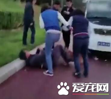 兩女子和一條狗圍攻老人 警方：因狗打架 