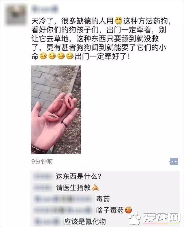 朋友圈被『毒香腸』刷屏了養狗好幾年，香腸毒死它卻只要幾分鐘