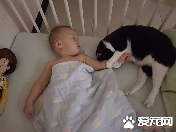 超溫馨畫面！萌寶跌倒引六只汪汪安慰呼呼