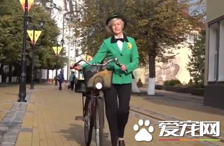 超夢幻職缺 負責照顧流浪貓的貓隊長