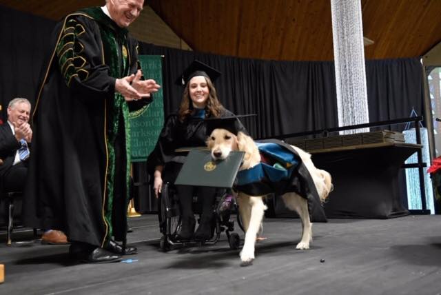 4歲忠心服務犬無私陪伴主人 克拉克森大學為它頒發榮譽證書