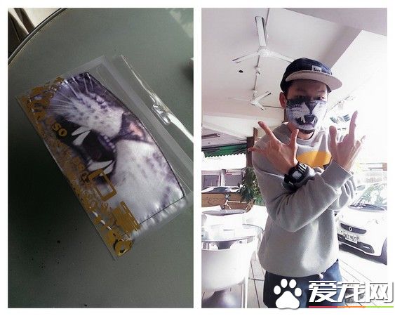 喵星人還要簽收包裹 網友：龍哥用貓掌簽收嗎