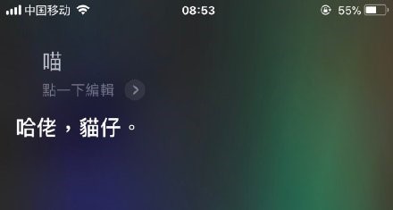 讓Siri叫貓咪？怎么會有這樣的操作 真的是奇葩網友多