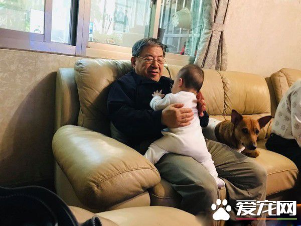 阿公馬殺雞服務 犒賞照顧寶寶的米克斯保姆