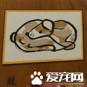 菜市場撿到的它 經細心照料成高齡15歲的長壽汪