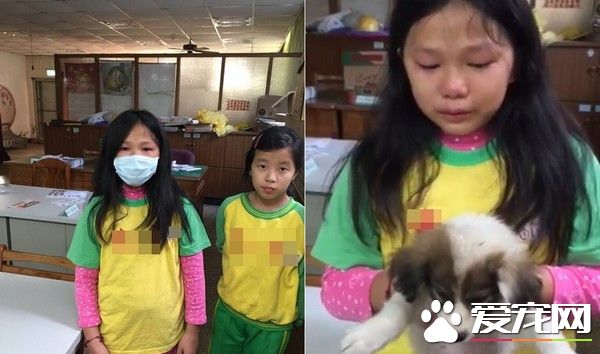 孤兒小狗無處可去 小學生心碎哭腫眼求有人收留