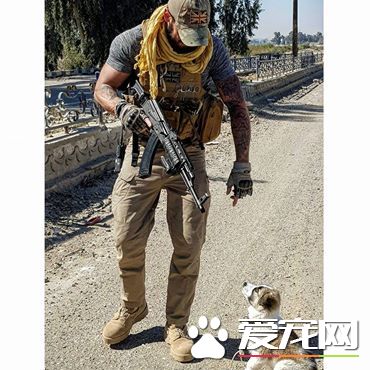 飛越3000公里！戰亂幸存狗狗陪伴軍人爸爸克服創傷