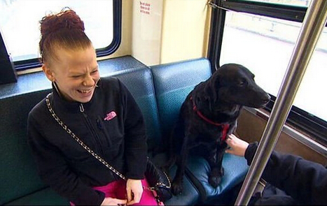 寵物犬嫌主人抽煙太慢 獨自搭公車逛公園
