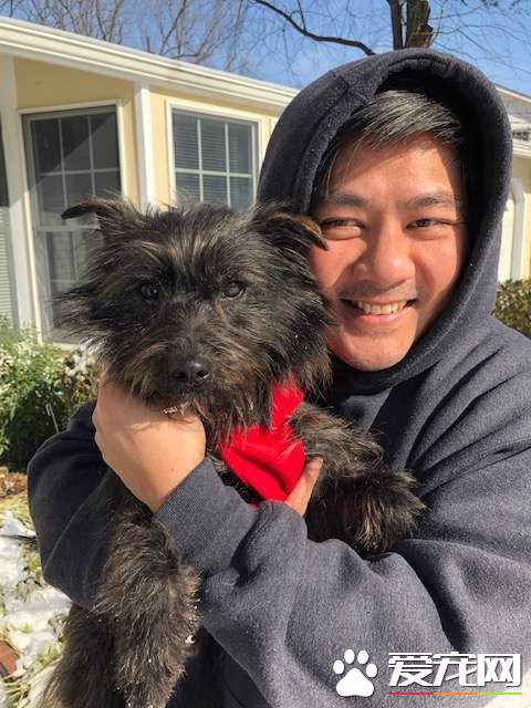 中途第一只狗狗就舍不得送走 只好直接收編