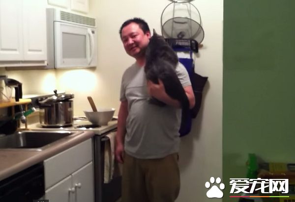 看得人都要融化啦！超會撒嬌的喵星人