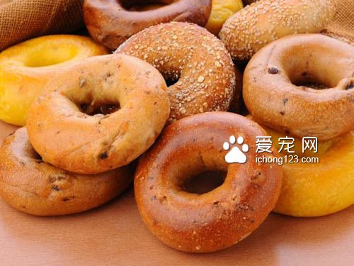 貝果和狗狗，傻傻分不清？