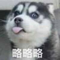 不會吐舌頭的寵物不是好寵物