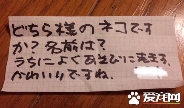 獸醫分享往事收到主人留言 結局讓萬名網友淚崩