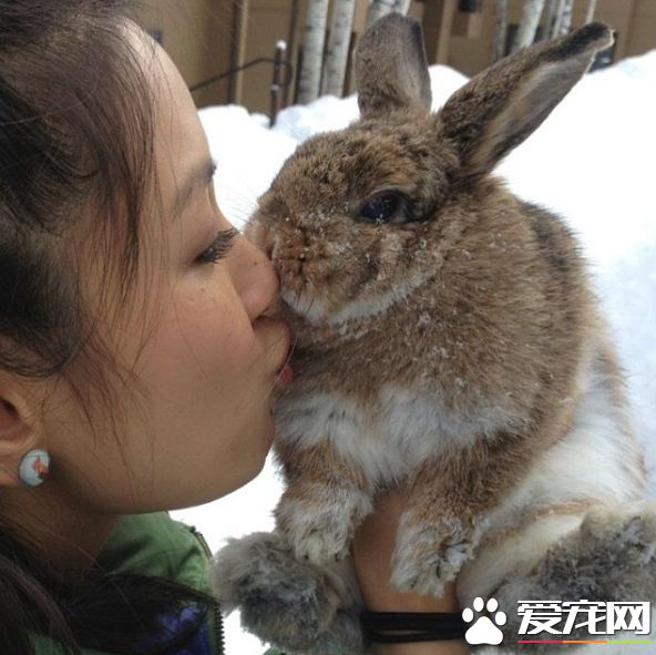 瘋狂亞洲富豪女主 銀幕上強勢私下卻是十足兔奴