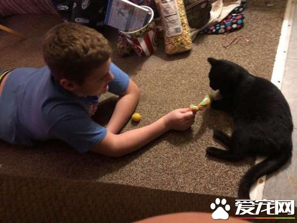難忘的圣誕禮物! 愛貓男孩收到媽媽準備的驚喜