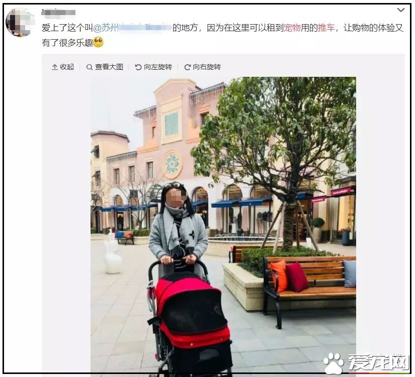 杭州一商場推出“寵物推車”，是人性化還是侵犯顧客權益？