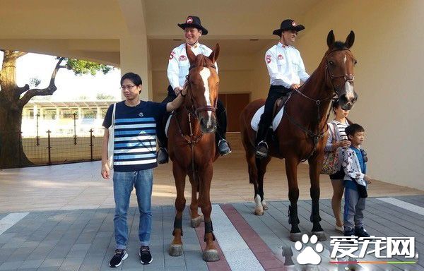 臺中花博開幕有警犬與騎警進駐維安 成特殊亮點