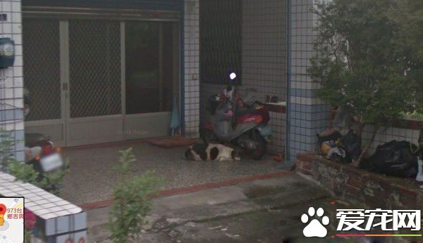 時間與回憶都靜止了 谷歌地圖帶你回憶過去