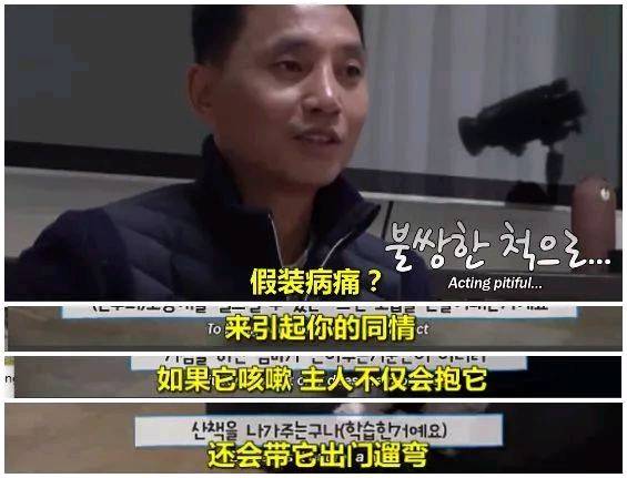 你知道你的狗子為了出去玩 有多拼嗎？