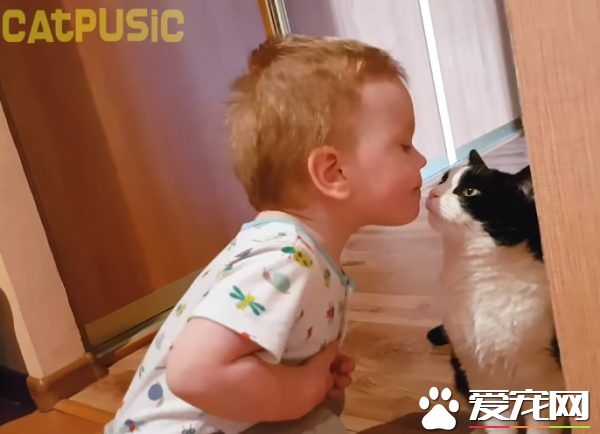親貓狂 人類弟弟超愛他的貓哥哥
