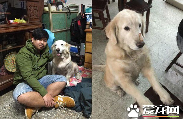 妹妹真的回來了! 阿金癌癥逝去變成女嬰回來