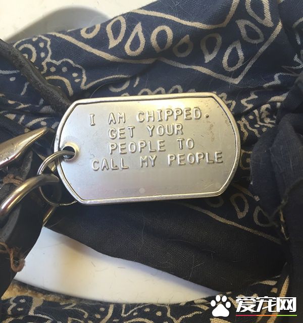 這些歪果人毛小孩吊牌 超有趣的搞怪內容