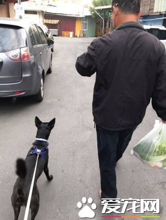 極力反對養狗 一年后從狗變成爸爸的掌上明珠