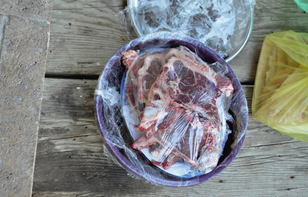 小狗能吃肉嗎