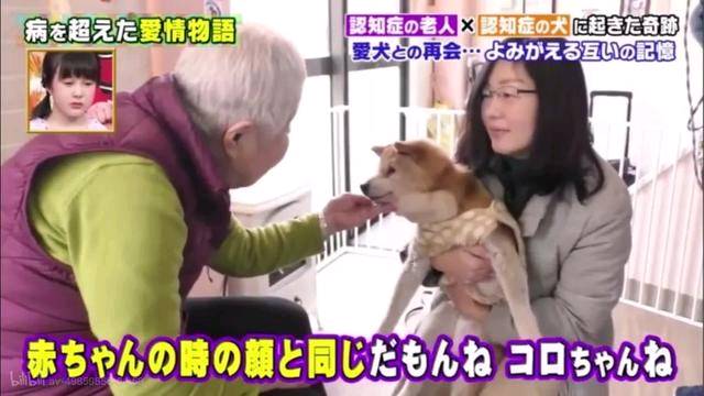 狗狗和主人都換上了老年癡呆 多年后的重逢 還會認得彼此嗎？