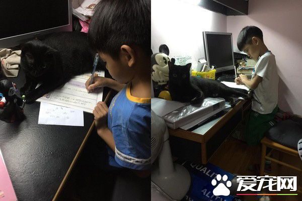 后腦勺好聞嗎? 萌娃抱黑貓后腦勺狂吸