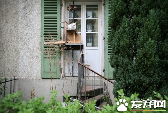 攝影師發現瑞士奇景 每家都有貓咪專屬的貓樓梯